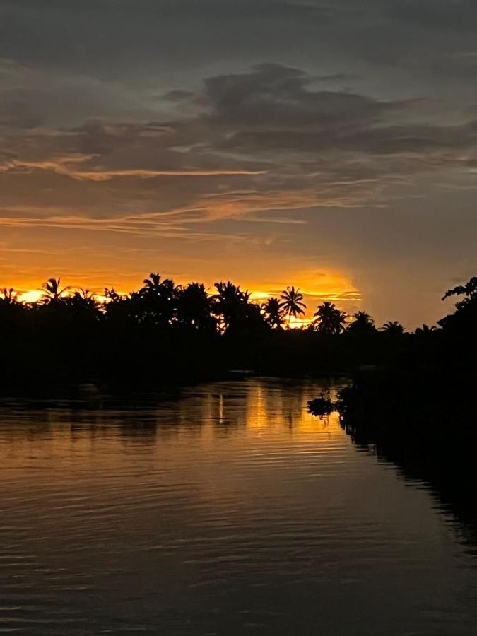 Chales Paradise أتينز المظهر الخارجي الصورة